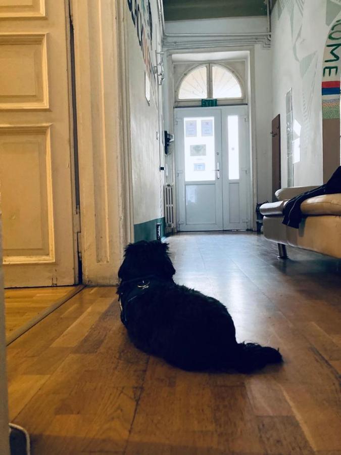 Black Dog Hostel Budapest Eksteriør bilde